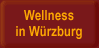 Würzburger Wellness-Web